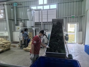 www.zaogecn.com